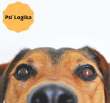 Náhled článku - Psí Logika 1. díl - Jak pochopit psí chování a myšlení 