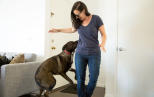 Náhled článku - Jak odnaučit psa skákat na lidi